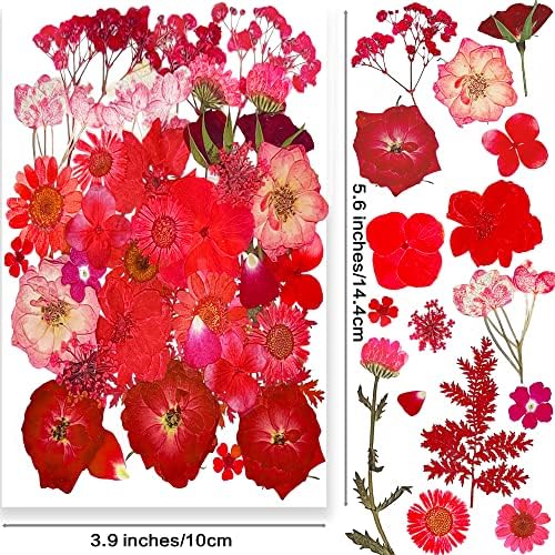 114 ADET Reçine Kurutulmuş Preslenmiş Çiçekler, YouthBro Gerçek Doğal Kuru Presleme Çiçekler Cımbız ile DIY Takı Craft