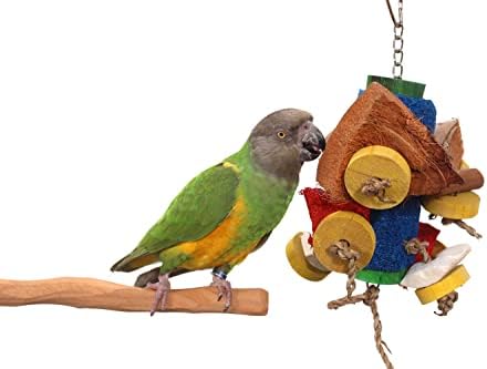 Lif Kabağı Geçit Töreni-Parçalanabilir Papağan Oyuncağı (Büyük)
