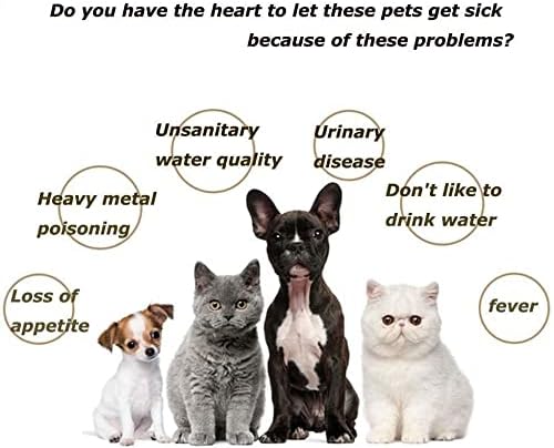 pet Su Sebili Kedi Su Çeşmesi Kediler Köpekler için Ultra Sessiz Pompalı Seramik Pet Su Sebili, Kompakt Kolay Temizlenebilir