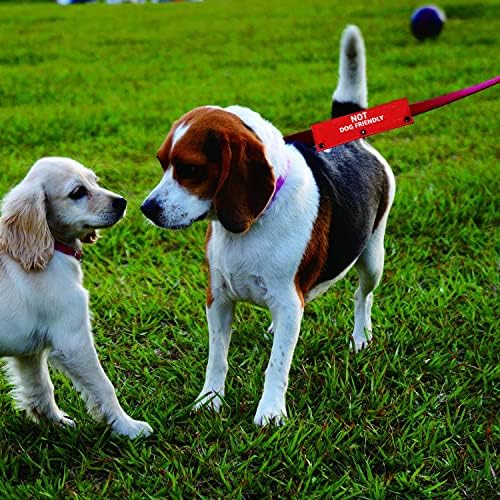 Komik Köpek Tasma Kol Değil Köpek Dostu Köpek Tasma Wrap Wrap Uyarısı Asılı KIMLIK yama Etiketi Pet doğum günü hediyesi(Köpek