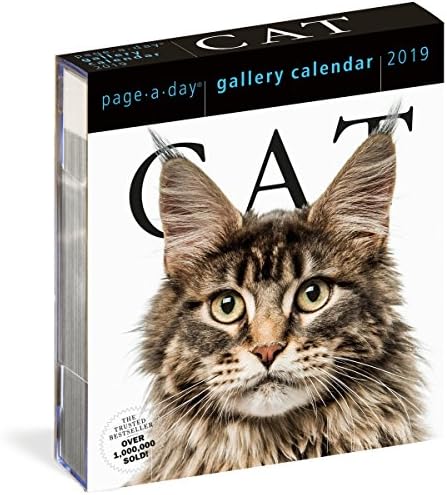 Günde Kedi Sayfası Galeri Takvimi 2019