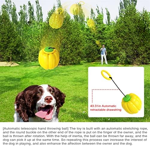 SXNBH Sürükle Topu Eğitim Oyuncaklar Pet Çiğnemek Oyuncaklar Oynamak İnteraktif Eğlenceli Oyuncaklar Köpek Malzemeleri