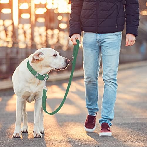 Su geçirmez Köpek Tasması: Yürüyüş için 2 Kancalı Standart Köpek Tasmaları, Trafik Kontrol Güvenliği için Ayarlanabilir
