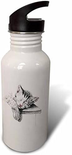 Uyuyan Gri ve Beyaz Kedi - Su Şişelerinin Vintage Çiziminin 3dRose Görüntüsü (wb-372036-2)