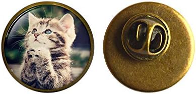 KEDİ Broş, Kedi Pin, Kedi Takı, Kedi Charm, Cam Fotoğraf Sanatı Broş Pin, Basit Broş, El Yapımı Broş, M263