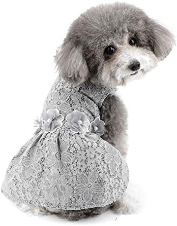 Zunea Köpek Kız Elbise Küçük Köpekler için Yaz Dantel Prenses Elbise Zarif Köpek Parti Düğün Doğum Günü Kostüm Kıyafetler