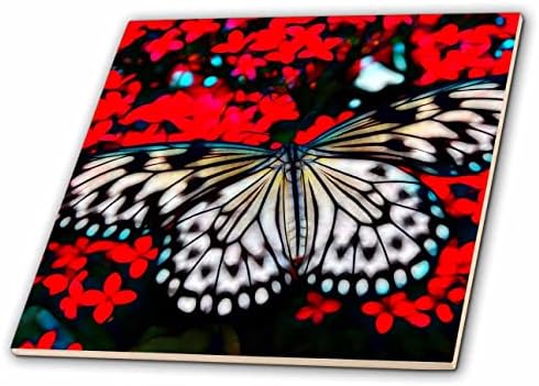 Kırmızı Çiçekler üzerinde 3dRose Güzel Kelebek ışıkla aşılanmış resim Karolarının Görüntüsü (ct-365065-7)