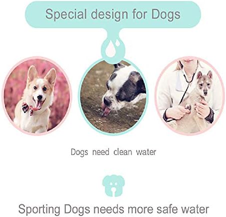 ZYZS su sebili küçük köpek Mini taşınabilir pet su ısıtıcısı besleyici