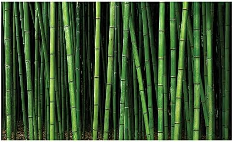Ambesonne Barış Bahçesi Seramik Diş Fırçası Tutacağı, Japon Kalın Bambu Orman Öğelerinin Doğa Temalı Pitoresk, Banyo