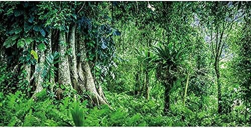 AWERT 24x12 inç Vinil Derin Orman Teraryum Arka Plan Tropikal Yağmur Ormanları Akvaryum Arka Plan Güneş Yeşil Büyük