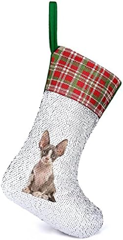 Gri Gözler Devon Rex Pullu Noel Çorap Parlak Duvar askı süsleri Dekorasyon Noel Ağacı Tatil Partisi için