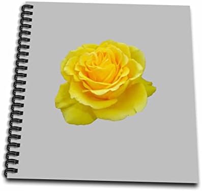 3dRose Güzel Sarı Gül İzole Vektör Sanat - Çizim Kitapları (db_356886_3)