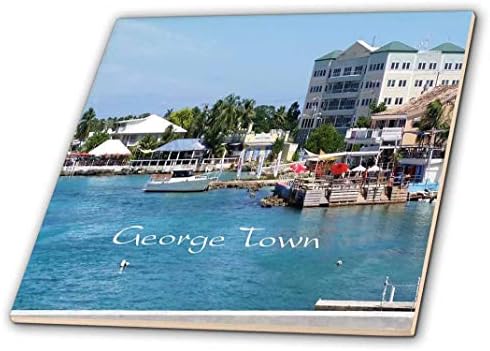 Georgetown Grand Cayman Limanı Seramik Karosunun 3D Gül Görüntüsü, Çok Renkli