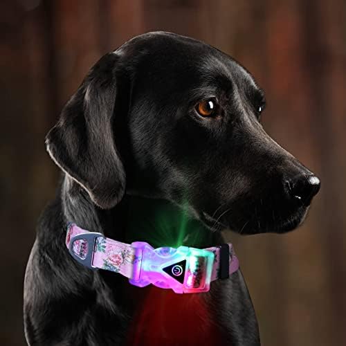 Timos LED köpek tasması Su Geçirmez Light Up köpek tasmaları Ayarlanabilir Köpek Tasmaları Küçük Orta Büyük Köpekler