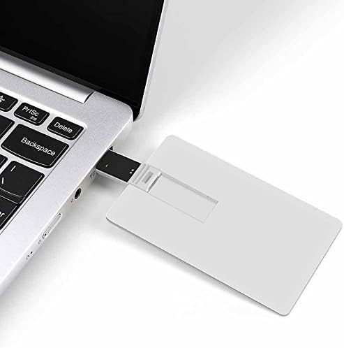Tembel domuz USB Flash sürücü kişiselleştirilmiş kredi kartı sürücü bellek sopa USB anahtar hediyeler seviyor