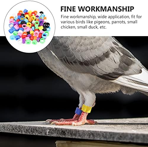 Happyyami Kuş Tanımlama Halkası 150 adet Renkli Kuşlar Ayak Bantları Tavuk Güvercin Bacaklar Halka Plastik Kümes Hayvanları