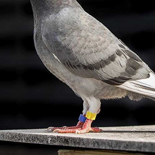 jenerik 150 adet Kuşlar Ayak Bantları Tavuk Güvercin Bacaklar Halka Plastik Kümes Hayvanları Bantları Klip Pet Etiketi