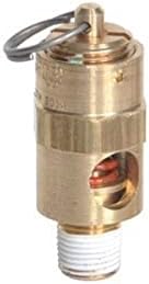 Sellerocity Marka Amerikan Yapımı hava kompresörü Pop Off Emniyet tahliye vanası 1/8 NPT Boyutu (.405 İnç) 40 PSİ