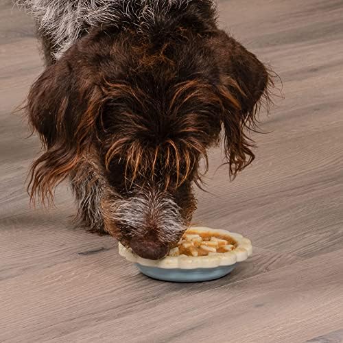 Furhaven Paws ' n Play Pasta Yavaş Besleyici Doldurulabilir Köpek Oyuncağı, Yıkanabilir-Beyaz / Mavi, Tek Beden