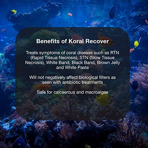 Brightwell Aquatics Koral Recover-Canlı Mercanların Tedavisi ve Hasarlı Mercan Dokusunun Yeniden Büyümesi için Mercan